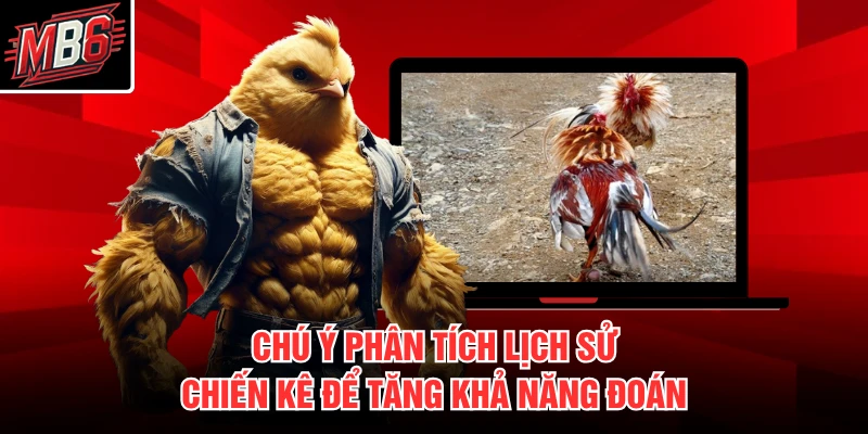 Đá Gà Cựa Sắt MB66 3 Chú ý phân tích lịch sử chiến kê để tăng khả năng đoán